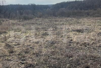 Teren Construcții intravilan de 9783 mp, în Paleu
