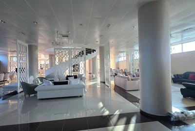 Splaiu Unirii teren 5000 mp Imobil S+P+5 Showroom, Clinica , Birouri , Hotel - 22