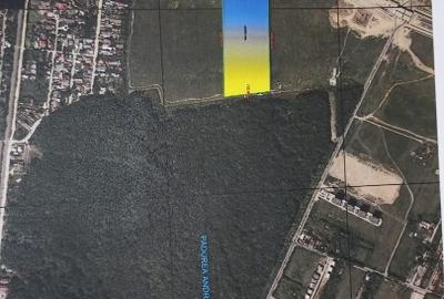 : Teren Dezvoltabil 4 Hectare | Voluntari, Ilfov - 2