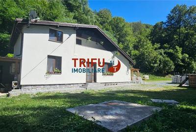 Casă individuală cu 5 camere în Întregalde