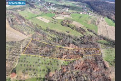Teren Construcții intravilan de 5578 mp, în Groși