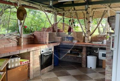 Pensiune - Domeniu montan - Casa si cabana 14 camere de vânzare - 26