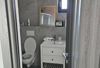 Spatiu de inchiriat pentru birouri zona Teilor-Pitesti - 4