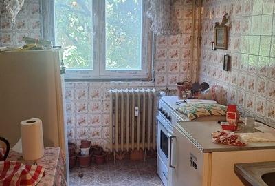 Apartament 3 camere in bloc reabilitat, Raul Doamnei, Drumul Taberei - 3