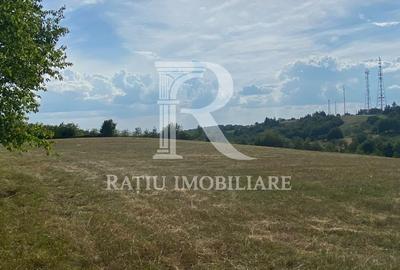 Teren Construcții intravilan de 17500 mp, în Șinteu