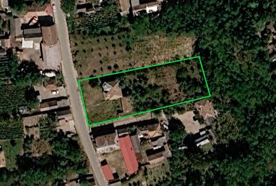 Proprietate cu 2.109 m² teren intravilan și două case, în Olanu - 6