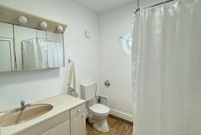 Casa renovata cu 1.052 mp teren, SASCUT,  jud. Bacau - 12