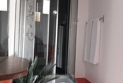 Casa cu trei apartamente separate amenajate si inchiriate in regim hotelier - 7