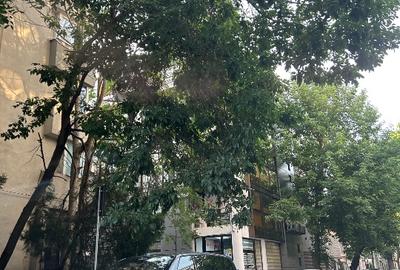 Apartament 3 camere - 13