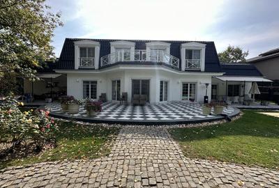 Vila individuala, teren 3000 mp, Iancu Nicolae - 12