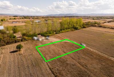 RECO Teren intravilan Tileagd 577 MP - 3