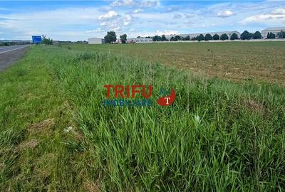 Teren Construcții intravilan de 90000 mp, în Periferie