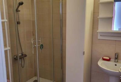 INCHIRIERE APARTAMENT 2 CAMERE -ESTIC PARK-DOBROESTI - 11