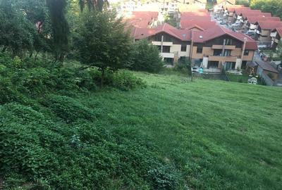 Teren pentru dezvoltatori, 2900mp Noua-Darste - 3