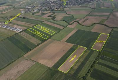 Teren Construcții intravilan de 12000 mp, în Moșnița Nouă