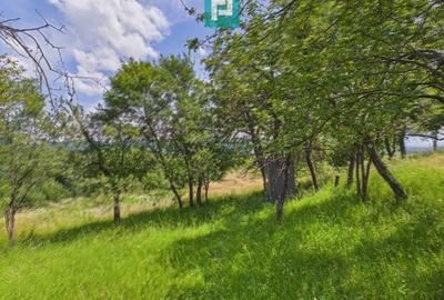 Casă de vacanță cu 2 corpuri si view în Dulcele - 21
