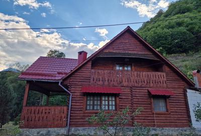 CABANĂ DE VÂNZARE ÎN ROMULI, BISTRIȚA-NĂSĂUD - 3