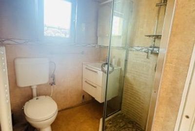 Freidorf - Timisoara | Casă P+1E | 3 camre | Anexă cu șemineu | Comision 0% - 19