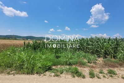 Vânzare teren intravilan, 3504 mp, sat Ceauru, comuna Bălești - 2