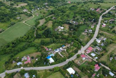 Gospodarie cu anexe si piscina cu 2 Ha teren + 20 Ha teren extravilan compancte - 8