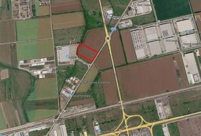Teren Construcții extravilan de 26800 mp, în Lugojului