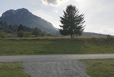 Zarnesti - Plaiul Foii, 4880 mp teren intravilan. - 3