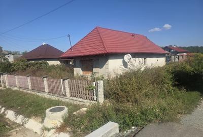 Casă individuală cu 1 camere în Pomi