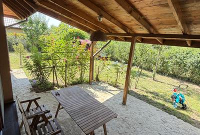 VANZARE CASA INDIVIDUALA/110MP UTILI/TEREN 550MP/DUMBRAVENI BALOTESTI - 23