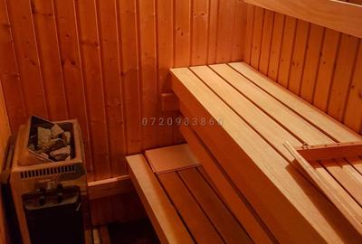 Duplex situat pe bd. Unirii, mobilat, are sauna si terasa - 5