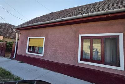 Casa Pustinis 2 camere - 3