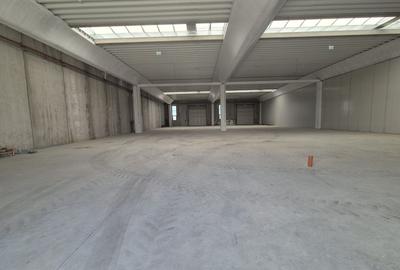HALĂ INDUSTRIALĂ MODERNĂ DE VANZARE| CHITILA | ACCES RAPID CENTURA - 7