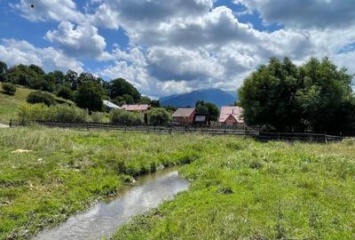 INVESTIȚIE | Teren 5000 mp PUZ APROBAT intravilan - zona Sohodol -Bran - 2