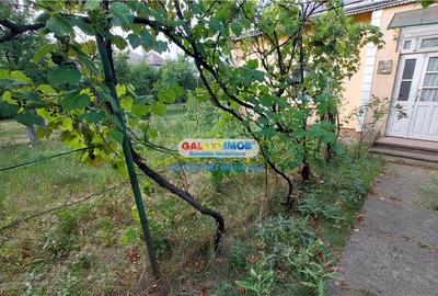 Oportunitate: Teren 1160 mp. cu casa, Puskin cu Petru Rares! - 5