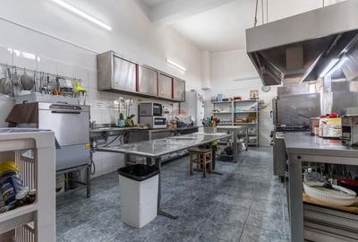 Proprietate Privata | Oltenesti Vaslui | Business la Cheie - 21