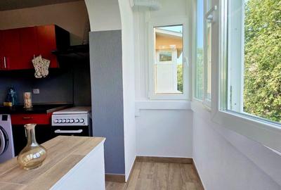 Apartament 2 Camere Dristor, Dumitru Drăgan - 11