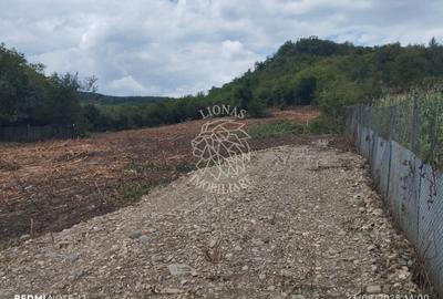 Teren Construcții extravilan de 625 mp, în Viișoara