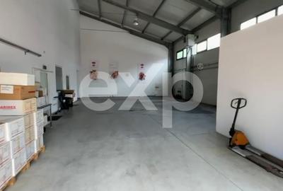 Hub Logistic Premium Otopeni – Centură: Hală 1.500 mp + Birouri 700 mp - 6