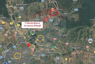 Teren 1.018 la 15 min de Ploiești | premium | zona dealuri - 6