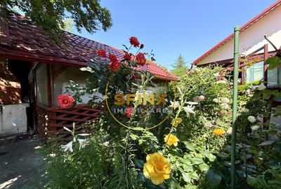 5 Camere Tunari Teleorman | Centrală termică | Grădina cu pomi fructiferi - 7