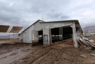 Spațiu industrial, de 6,600.00 mp, în Valea Lungă