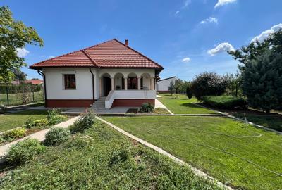 Casa 'din vis' frumoasa ,cocheta, la sol, caramida, 2014, 980 mp teren, M.Kogaln - 27