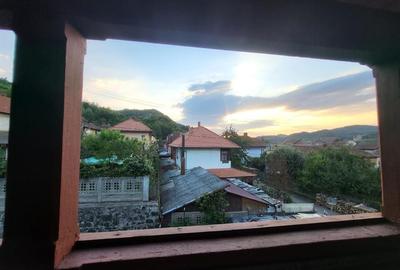 Jumatate duplex in Criscior, Hunedoara - 14
