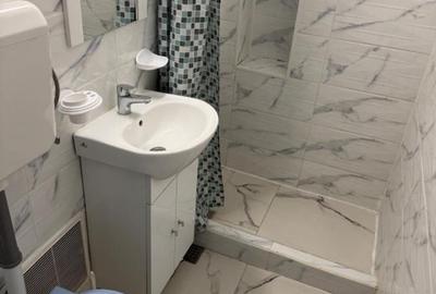 Inchiriere apartament 2 camere Domenii - 8
