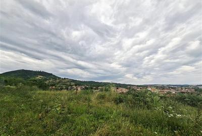Teren intravilan de vanzare Saliste - 2