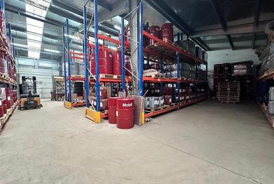 Spatii comerciale 330, 505, 835mp, sos. Pacurari, rond Mall Moldova - 12