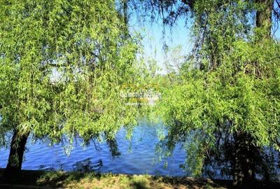Vila cu 7 camere Baneasa -Straulesti Lake View Ideala Pentru Birouri  Rezidenta - 4