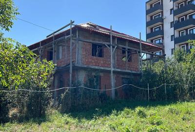 Casă cu 5 camere în Vișan