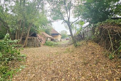 Casă de vânzare în Curtișoara - 6