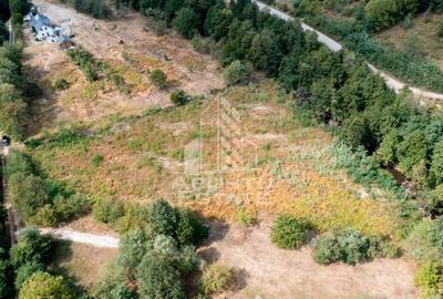 Teren agricol extravilan de 5000 mp, în Borlova