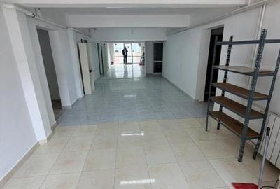Vila Individuala | Baneasa-Aerogarii | Spatiu Birouri/Rezidential - 8